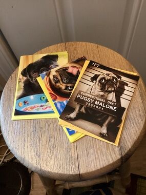 3 NEW Pug Dog Birthday cards with Envelopes